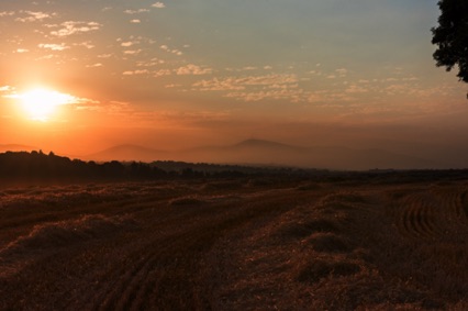 Aussicht vom Garten