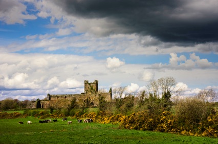 Dunbrody Abbey